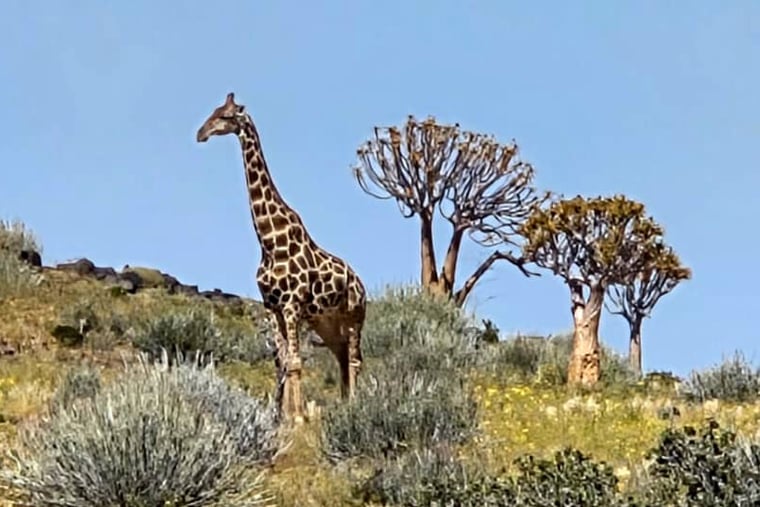 Gondwana Collection Namibia