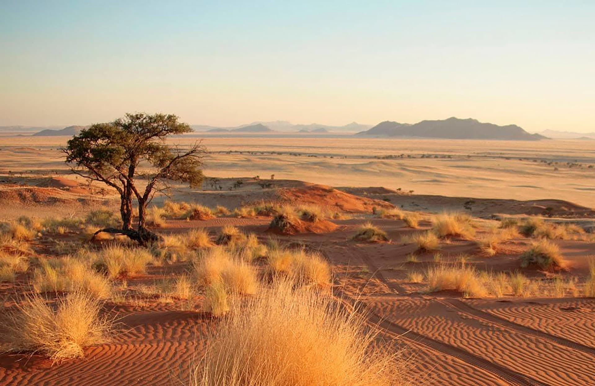 Namib-Naukluft Park, Landschaft mit Dünen und Bergen, Namibia