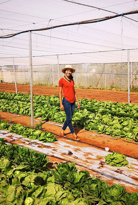 Women walking through a greenhouse with vegetables, Namibia