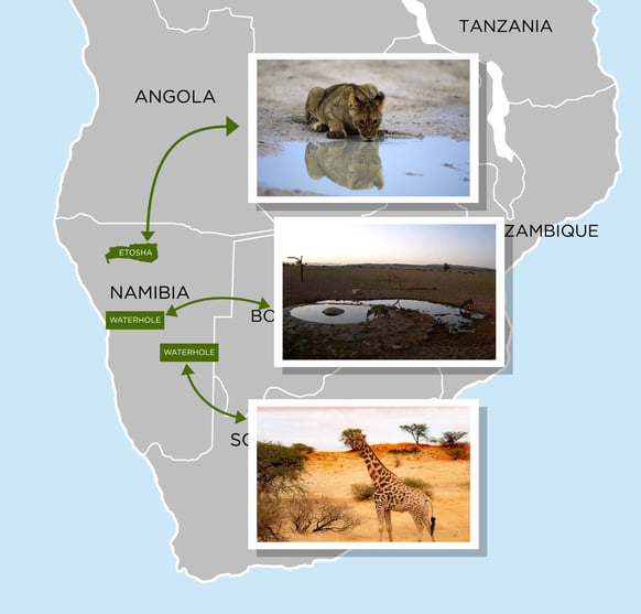Map of Namibia showing the locations of the Namibia Cam waterhole cameras