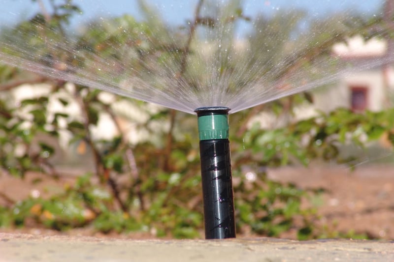 Irrigation with recycled water at Namib Desert Lodge, Namibia