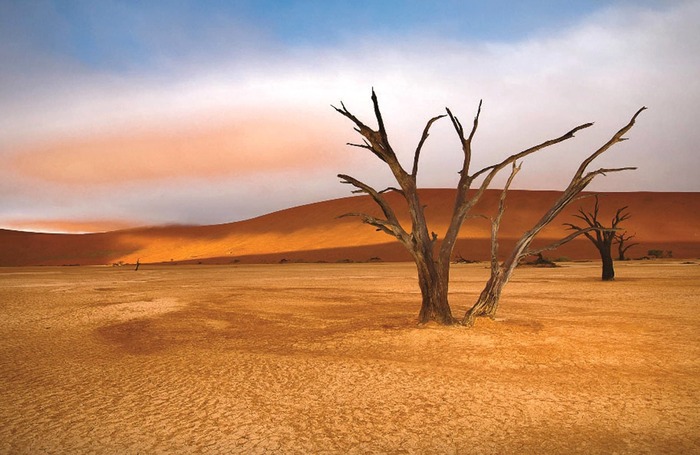 Deadvlei, tote Bäume, Namib-Dünen, Namibia