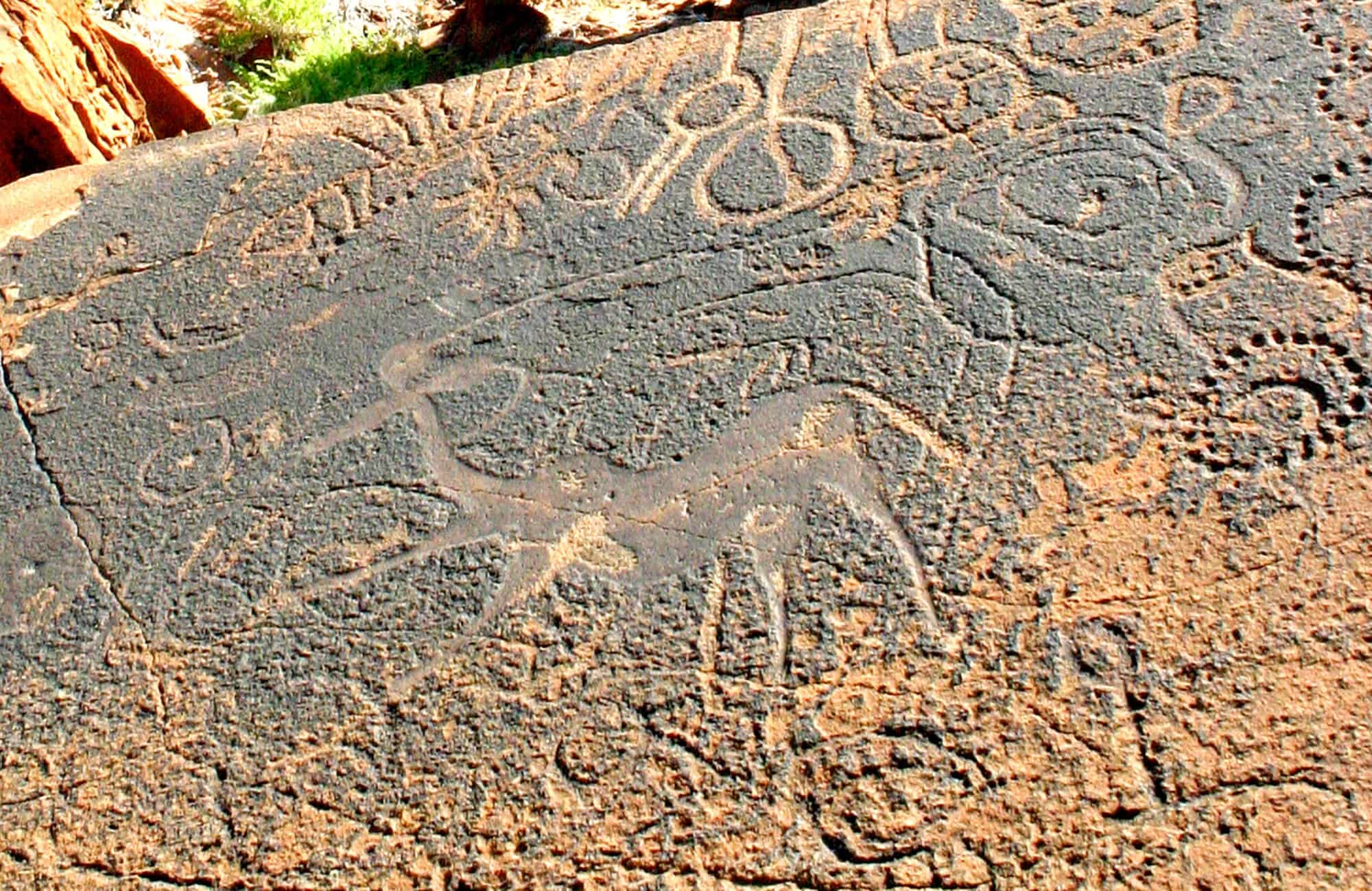 Rock engravings, Twyfelfontein, Namibia