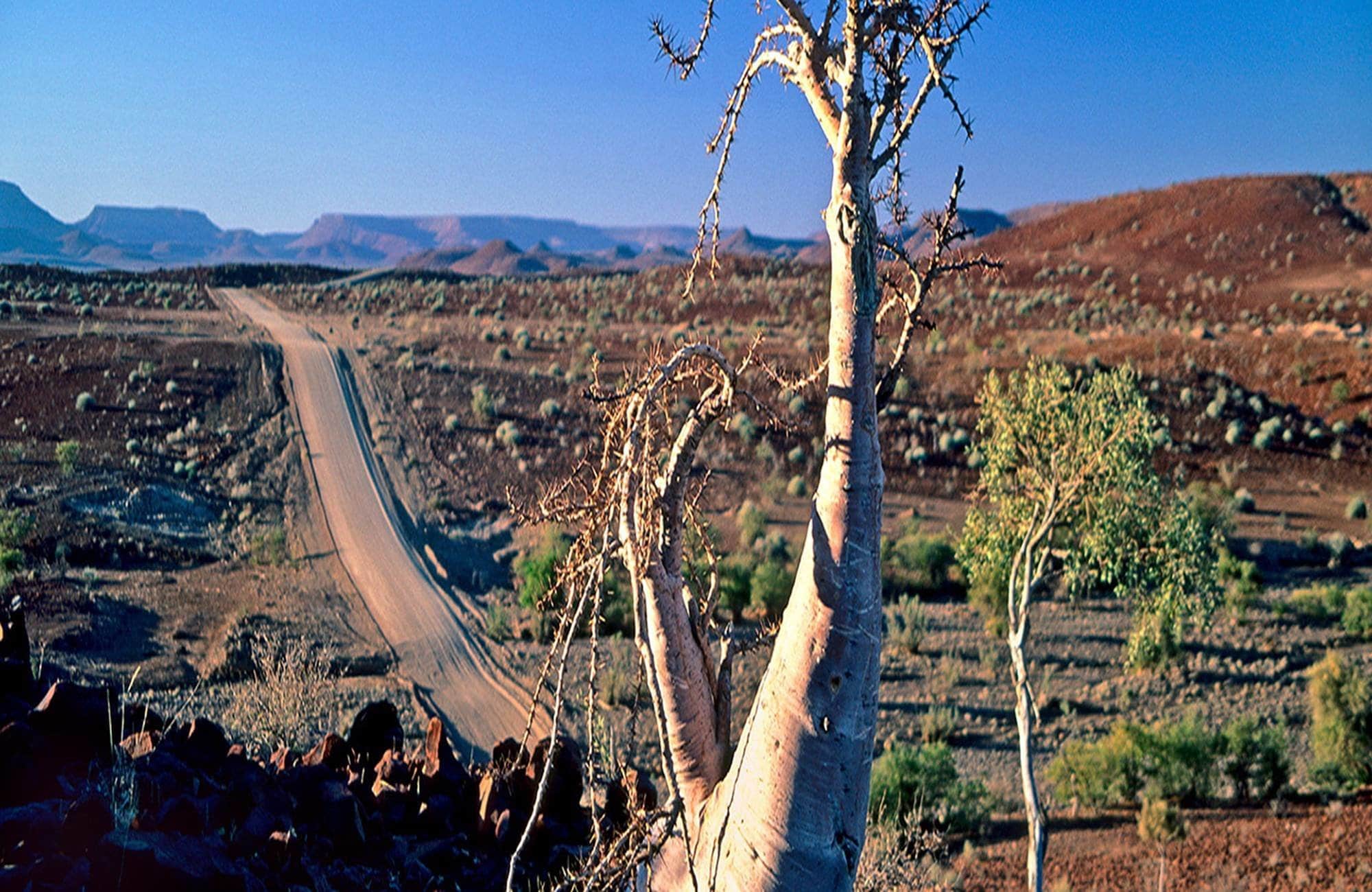 Long dusty road, Damaraland, Namibia
