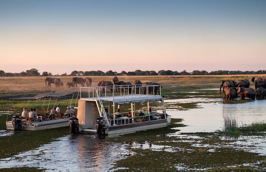 Bootsfahrt auf dem Chobe, Sambesi-Region, Namibia