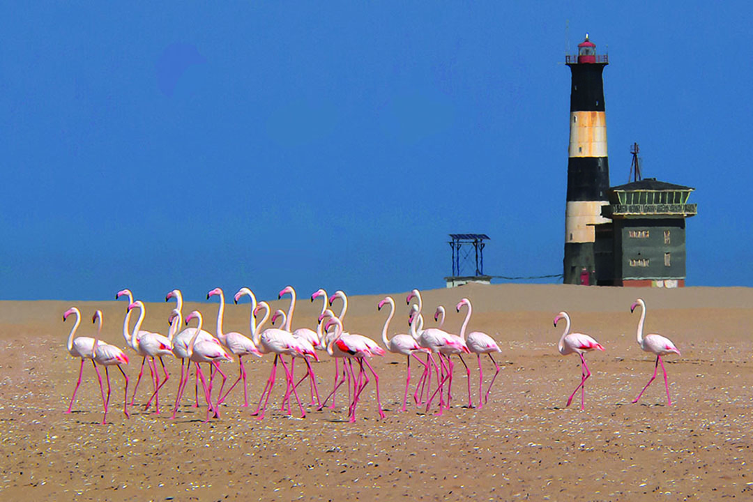 The Admiral Walvisbay