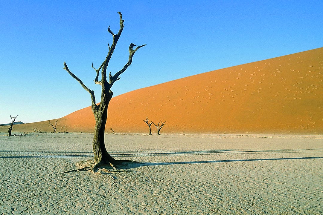Namib Desert Camping2go