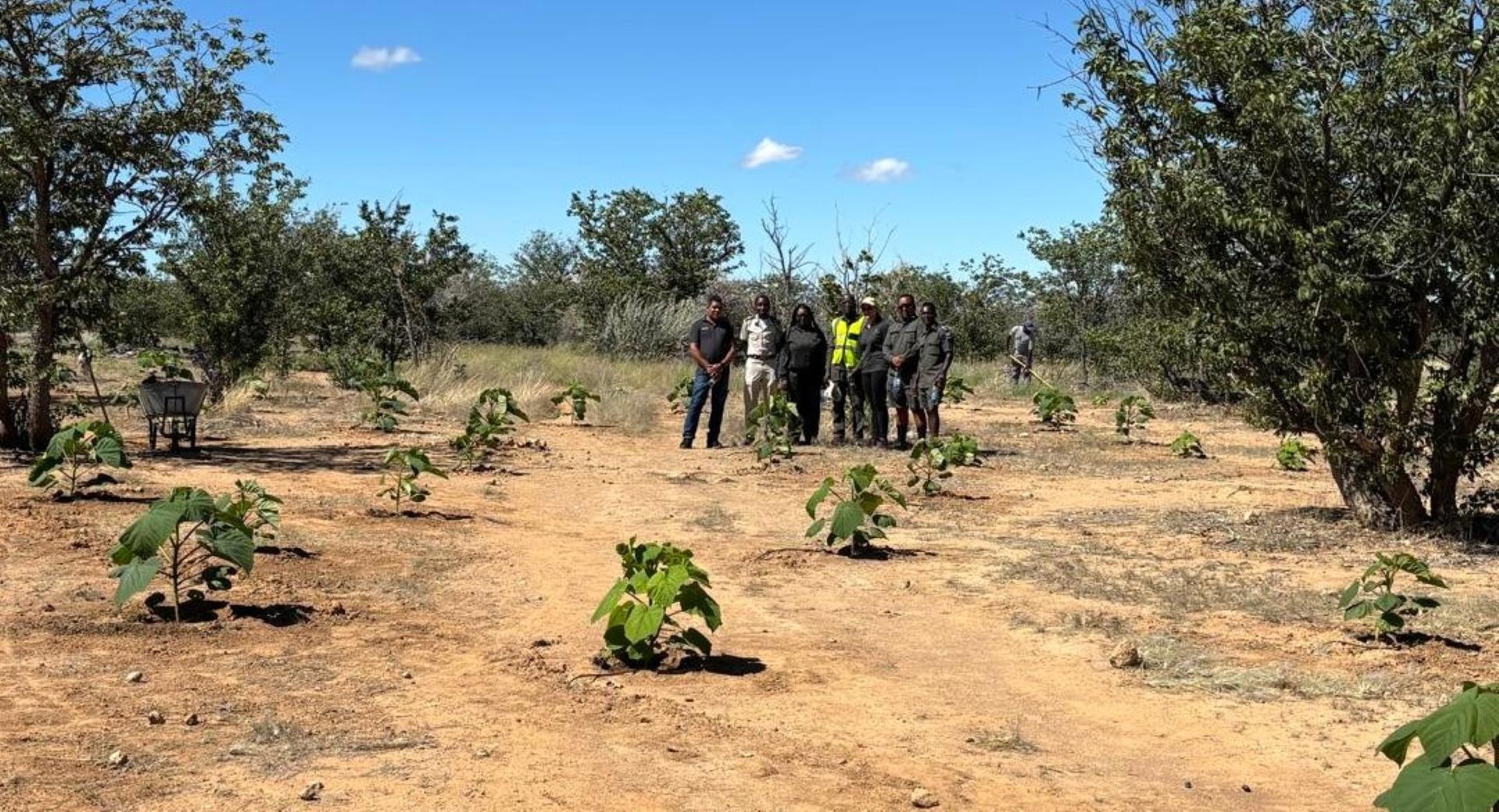 Representatives from the Ministry of Environment, Forestry and Tourism tour Damara Mopane Lodge during discussions on sustainable practices.