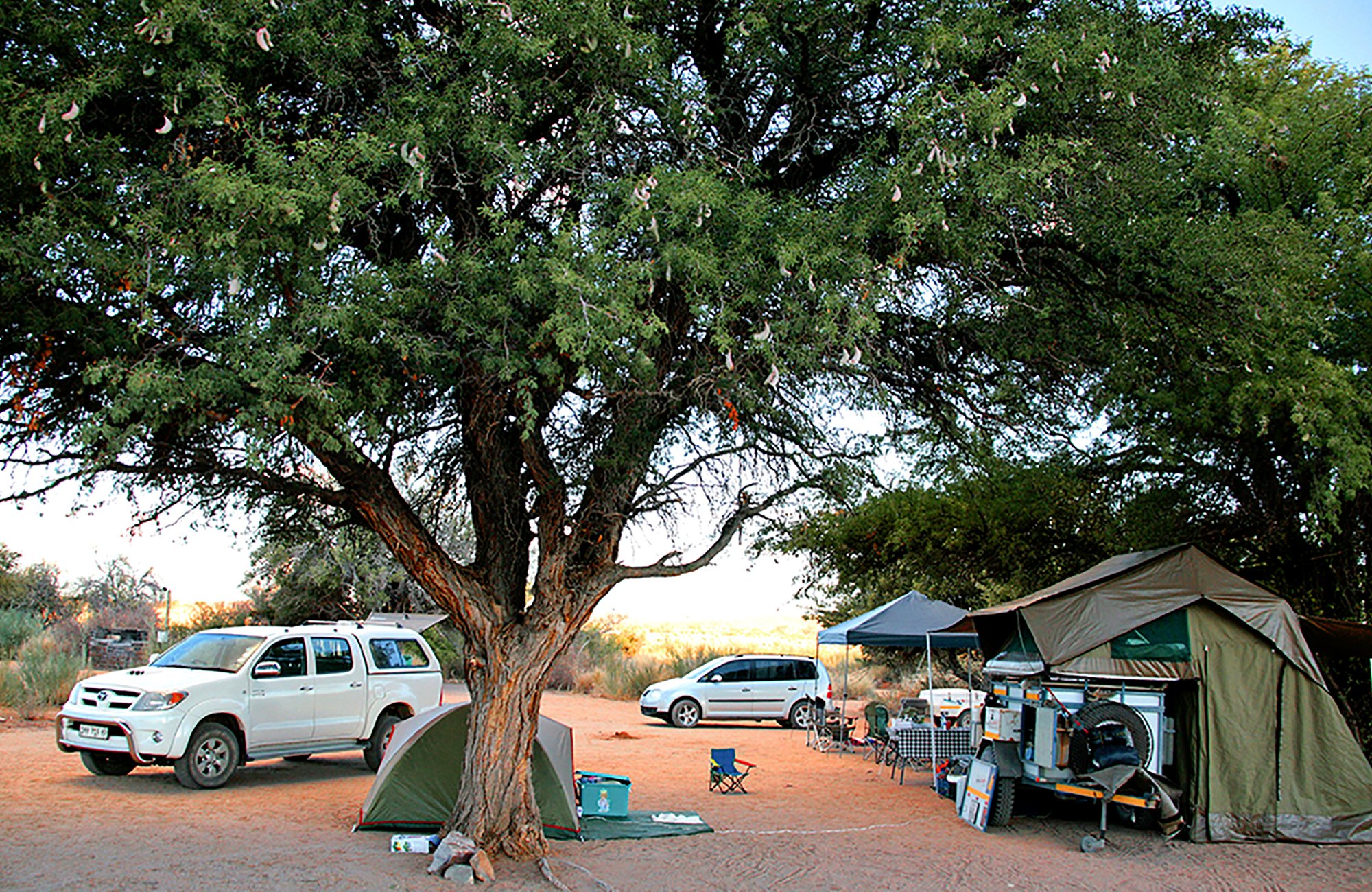 Canyon Roadhouse Campsite