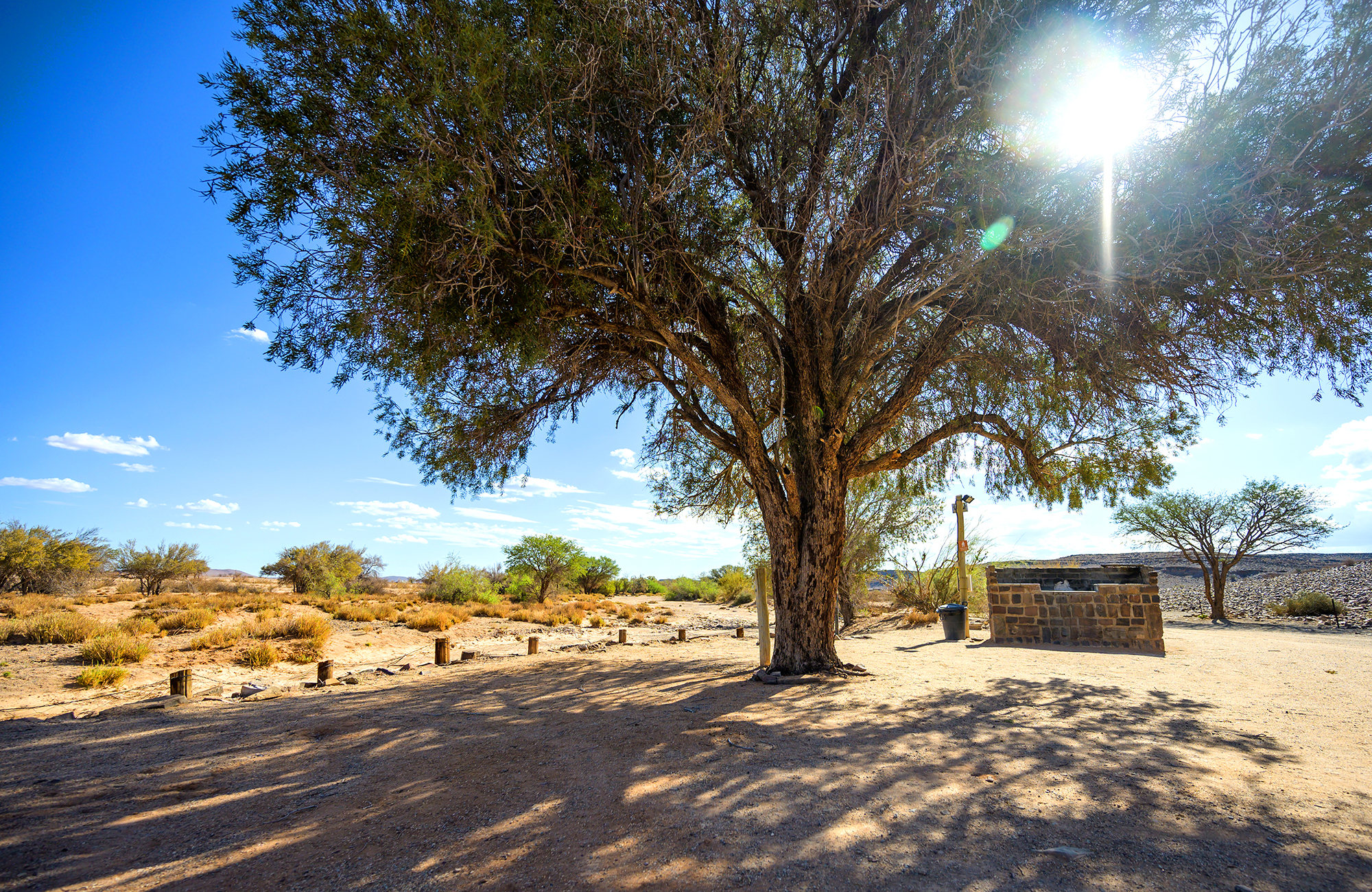 Canyon Roadhouse Campsite