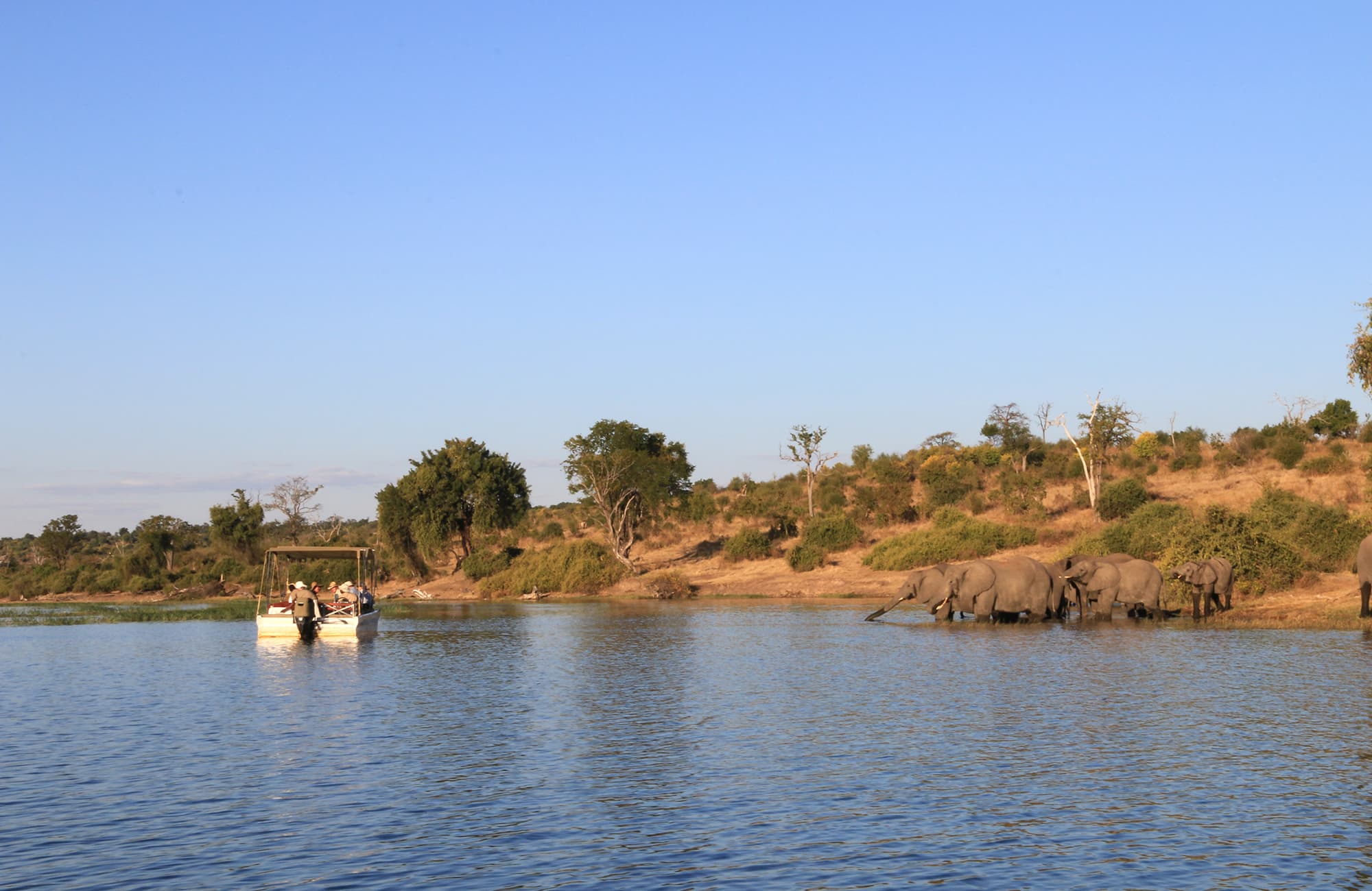 Chobe River Campsite