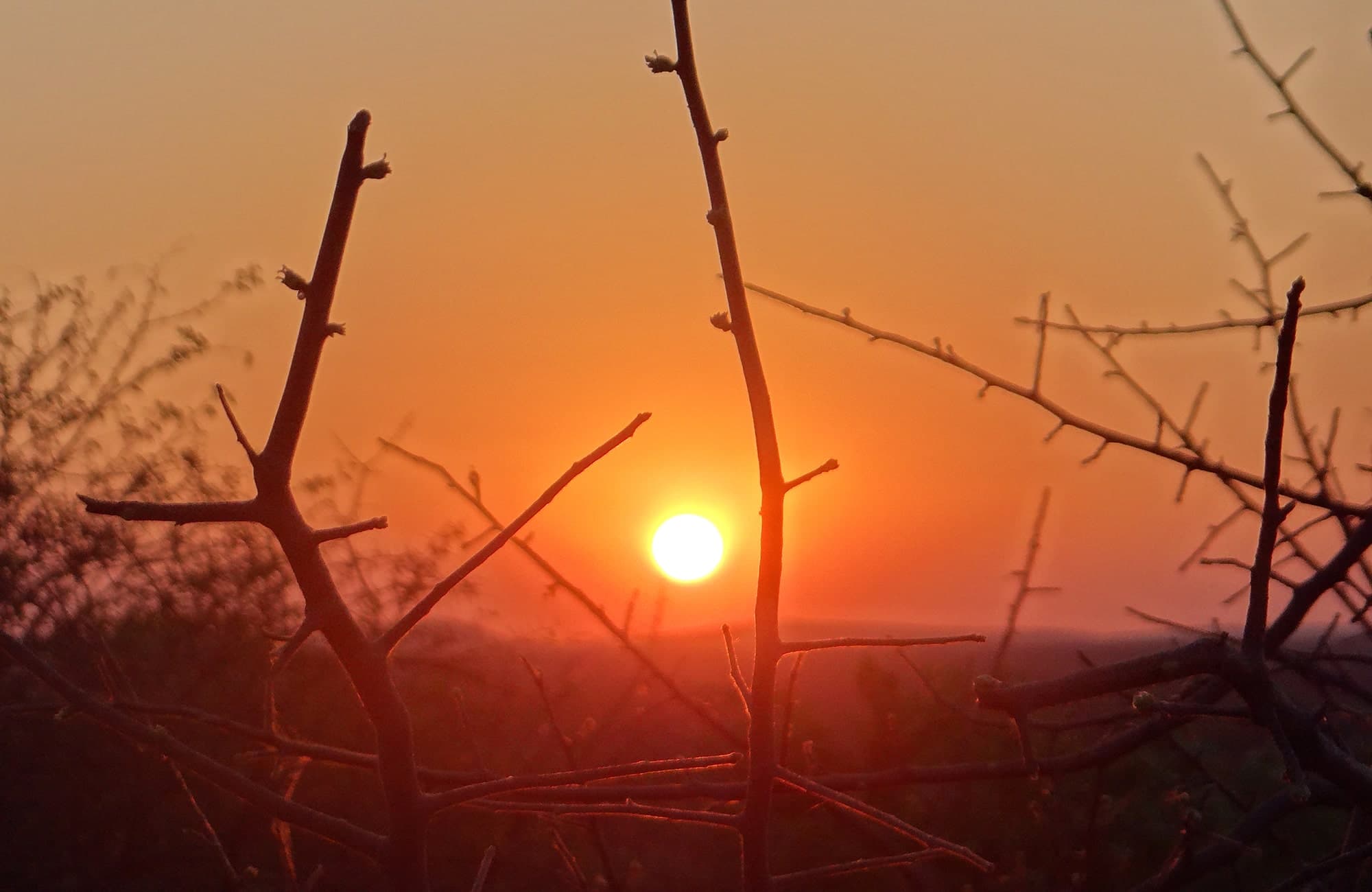 Sunrise in Etosha