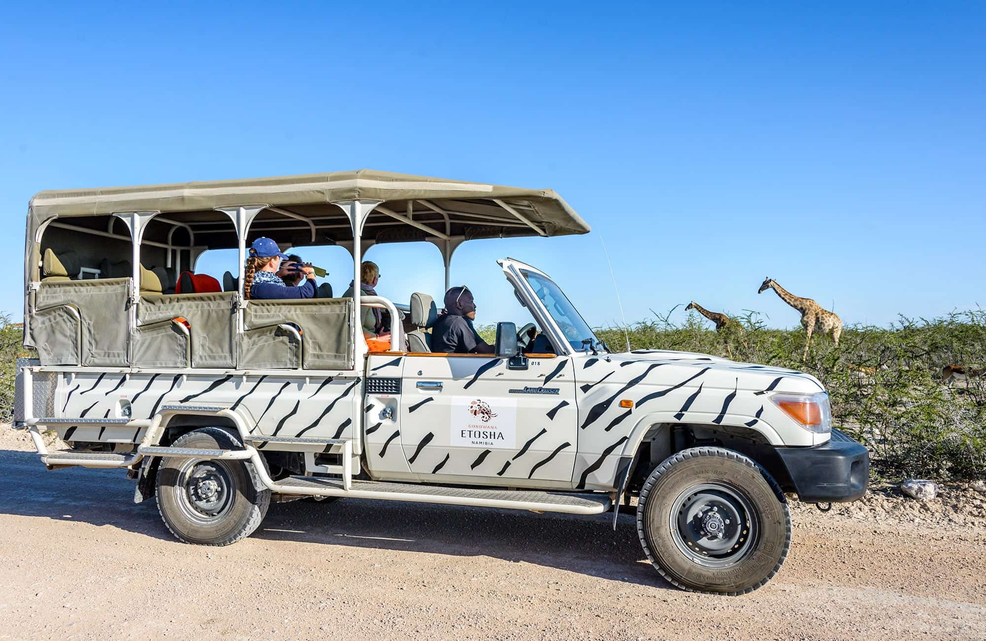 Etosha Game Drive