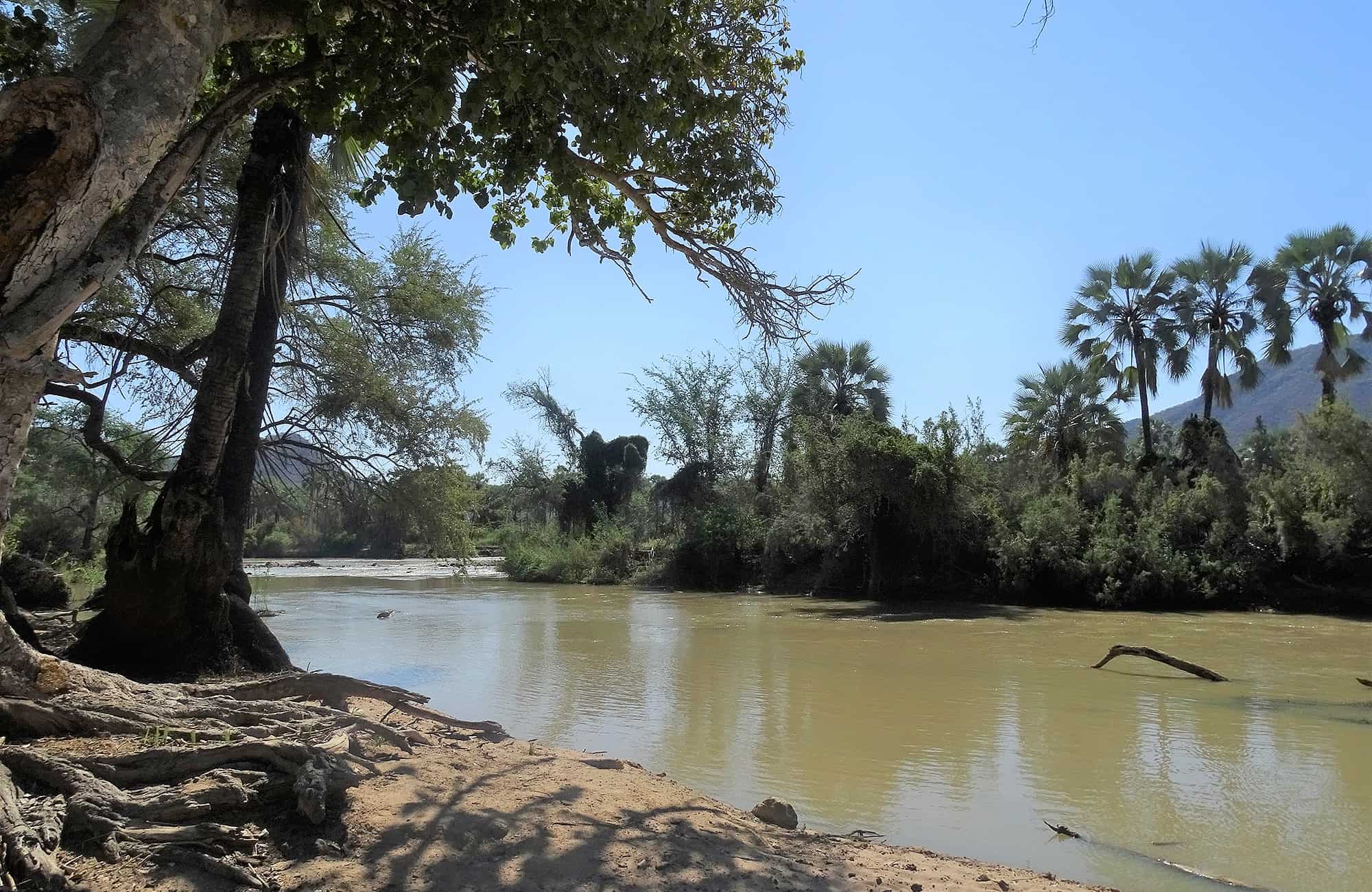 Riverside View at Midday