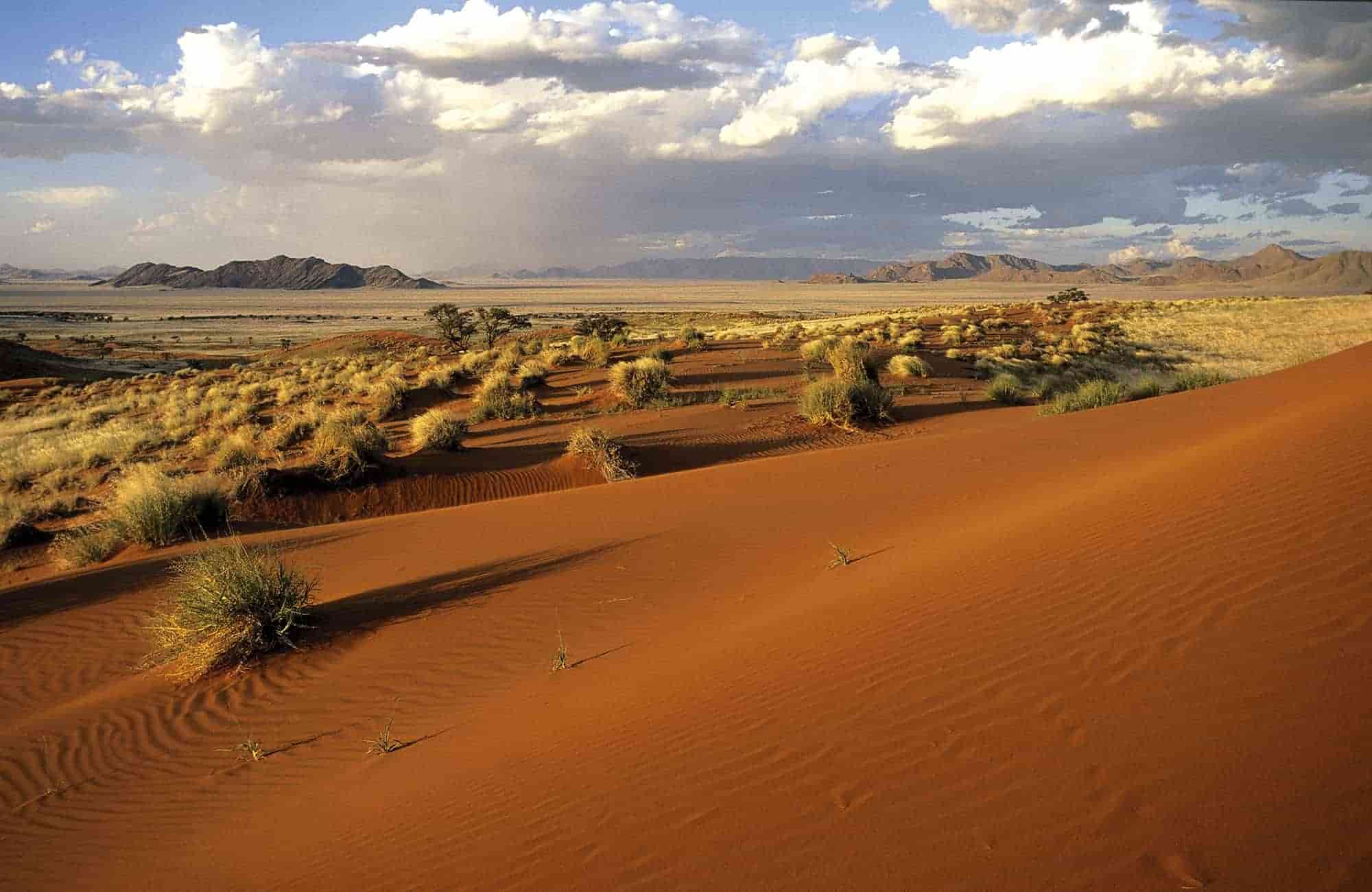 Red Sand Dunes