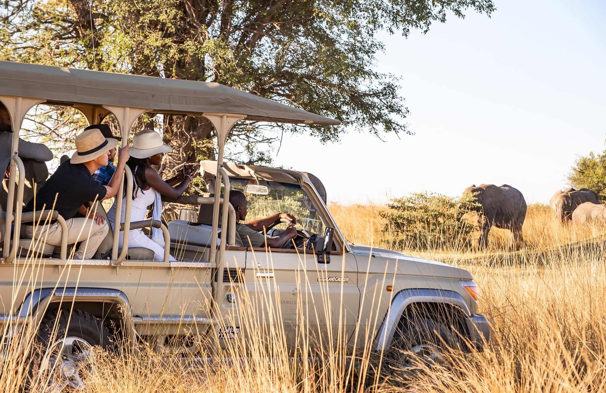 Zambezi Game Drive